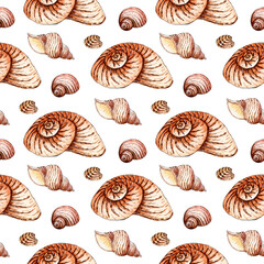 Watercolor illustration of a pattern of seamless seashells in beige tones. Endlessly repeating marine background. Scallops, clams and spirals. Isolated on white background. Drawn by hand.