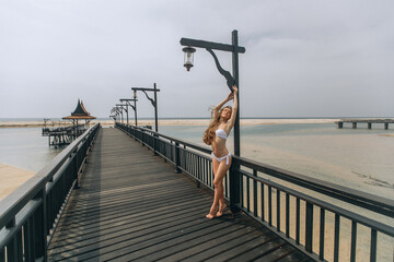 A young stunning woman in a white awesome bikini standing poses on the pier beautifully arching. Background of a nature landscape with a view of the ocean and the sky.