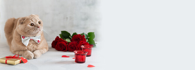 st valentine's day banner. Cute cat with bow tie sitting near red roses bouquet, presents and candles. Copy space. Invitation, greeting card design, confectionery, bakery banner, 14 february sale.