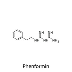Phenformin molecular structure, flat skeletal chemical formula. Biguanide drug used to treat Diabetes type 2. Vector illustration.