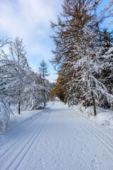 Eine weitere Winterwanderung entlang des Rennsteigs im schönsten Winterwunderland - Deutschland