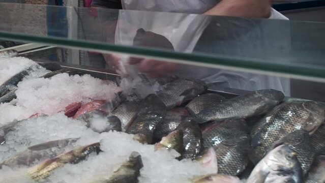 Fresh fish in ice on the counter of the Jerusalem Mahane Yehuda market.