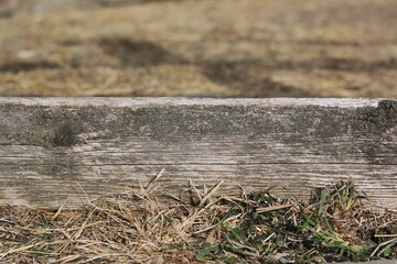 Wooden board on the ground