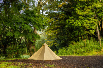 森でキャンプ　Camping in the early forest  © norikko