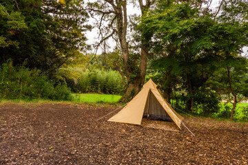 森でキャンプ　Camping in the early forest  © norikko