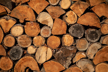 Close up logs in a row. Wooden circles on trees. Logs for processing