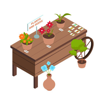 plants and seeds display on wooden table clip art preview