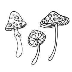 Magic mushrooms. Psychedelic hallucination. Outline vector illustration isolated on white. 60s hippie art. Coloring book for kids and adults.