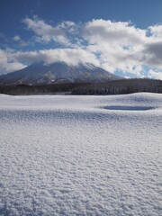 冬の羊蹄山と雪原