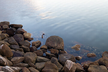 Rock on the river coastline.