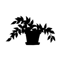 silhouette tradescantia houseplant. Indoor potted plant vector black and white outline doodle illustration.