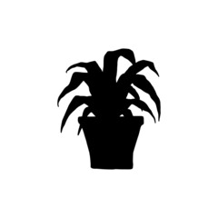 silhouette dracaena houseplant. Indoor potted plant vector black and white outline doodle illustration.