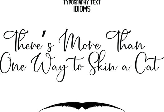 Cursive Text Lettering Idiom There’s More Than One Way To Skin A Cat