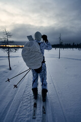 Hunting in Sweden. Winter hunt for capercaillie also called capercailzie or wood grouse. The hunter must move silently across the snow on skies and stop often a scout the land with binoculars. 