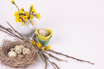 Spring Easter composition with quail eggs in nest with bunch of coltsfoot flowers and willow twigs isolated on white.
