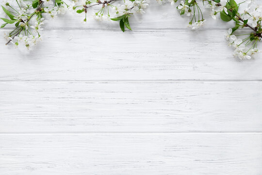 Spring background with blossom cherry flowers on wood table with copy space, top border
