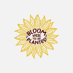 Bloom where you are planted - Sunflower t-shirt design, sunflower motivational quotes, typography for t-shirt, poster, sticker and card