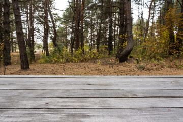 Close-up view photography of real organic wooden table surface isolated on blurry autumn green, brown and orange landscape of forest