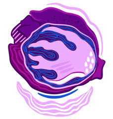 Bright vector abstract illustration of red cabbage isolated on white background.
