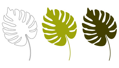 Tropical leaves. Floral background. Monstera leaves highlighted on a white background. Vector illustration.