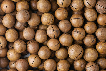 macadamia nuts with saws for splitting background backdrop