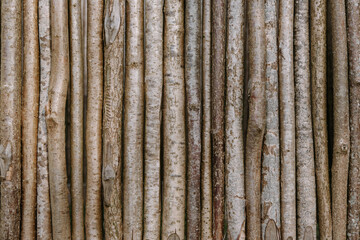 Wood branch background, vertical arrangement, seamless background.