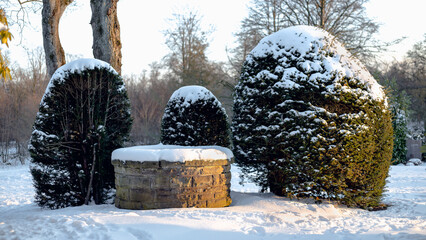 Stone brick basin covered in snow with evergreen bushes in evening sunlight