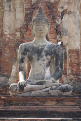 Fototapeta na wymiar Buddha statue with small bird resting on the shoulder (vertical image) at Wat Mahathat temple, Ayutthaya, Thailand