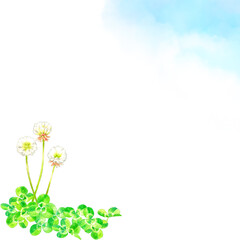 シロツメクサ（クローバー）と青空の背景　春の植物の手描き水彩イラスト素材