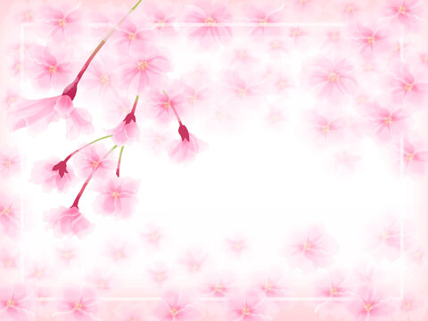 1 850 Best マゼンタ Images Stock Photos Vectors Adobe Stock 1 850 Best マゼンタ Images Stock Photos Vectors Adobe Stock