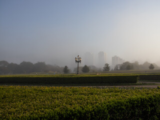 Contrast between buildings and nature in the park Jardim Botânico Curitiba Brazil
