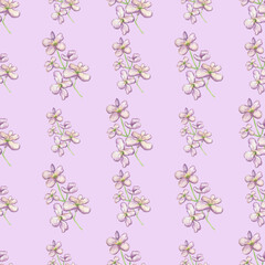 Obraz na płótnie Canvas Watercolor seamless pattern from mattiola flower isolated on violet background.Good for textile,fabrics,clothes.