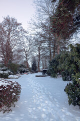 Snowy path on the cemetery with bald trees and evergreen bushes