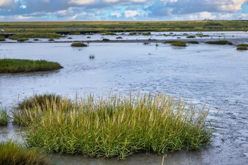View of the Langwarder Groden/Germany on the North Sea at low tide in the early evening 