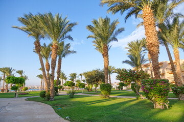 Fototapeta na wymiar October 24, 2021, Hurghada, Egypt. .Swimming pool and accommodation at tropical resort. Buildings, swimming pools and a recreation area by the red sea.