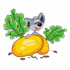 a cute mouse is hiding behind a beautiful, big, yellow turnip, cartoon illustration, isolated object on a white background, vector,