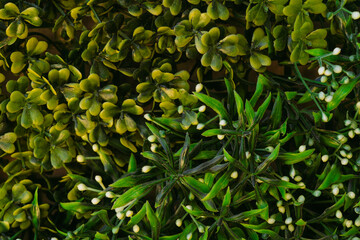 Closeup view flat lay stock photography of beautiful green artificial foliage imitating real organic plants. Abstract background