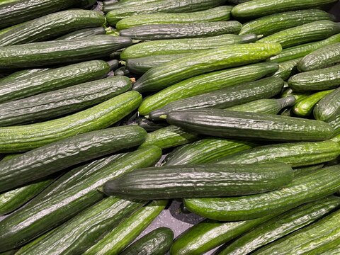 concombres du march&eacute;