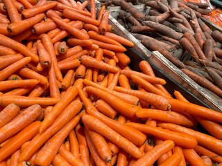 carottes
