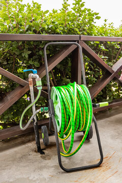 Garden hose near the green hedge. Equipment for watering plants