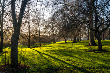St James's Park in late winter sunshine, City of Westminster, London, England, UK