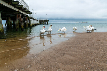 Old wooden pier in Sopot, Baltic Sea coast