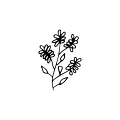 Hand drawn doodle floral element, abstract plant for decoration, isolated vector illustration