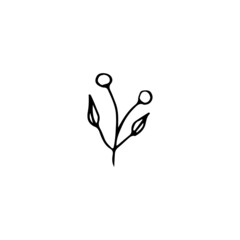 Hand drawn doodle floral element, abstract plant for decoration, isolated vector illustration