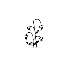 Hand drawn doodle floral element, abstract plant for decoration, isolated vector illustration