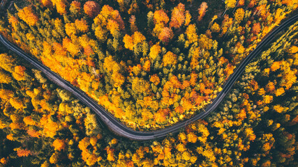 Aerial view of a windy road motorway through forest in autumn amazing colors, at the bottom on Fagaras Mountains, Transfagarasan road in Romania.