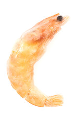 Unpeeled frozen shrimp on a white background. close-up