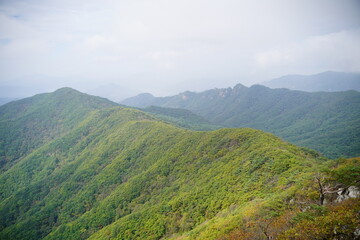 Obraz premium 금수산