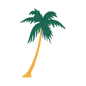 Tropical palm tree cartoon icon or symbol flat vector illustration isolated.