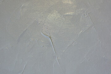 spider web on the water